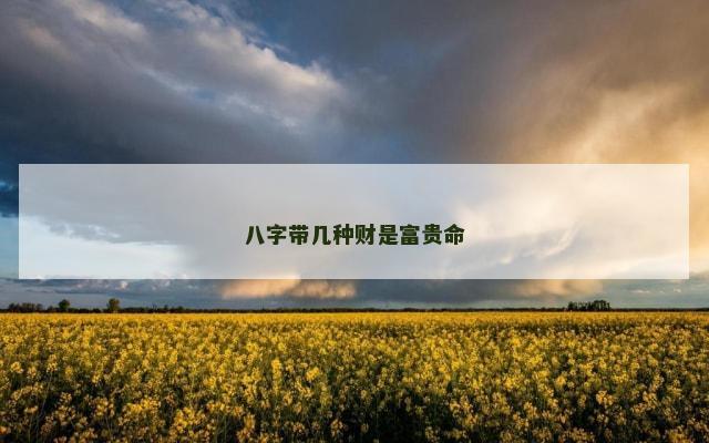 八字带几种财是富贵命
