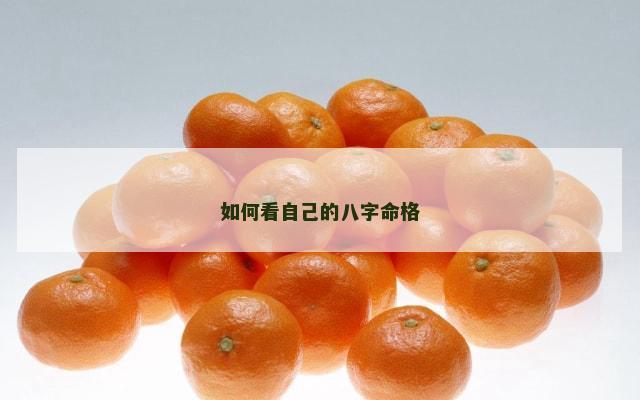 如何看自己的八字命格