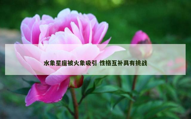 水象星座被火象吸引 性格互补具有挑战