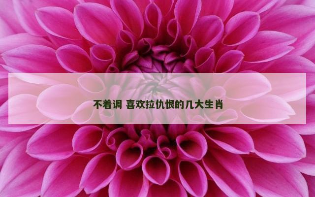 不着调 喜欢拉仇恨的几大生肖