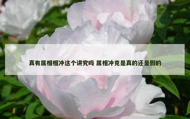 真有属相相冲这个讲究吗 属相冲克是真的还是假的