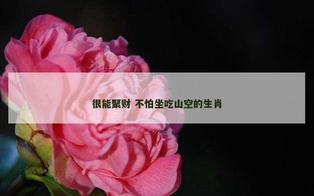很能聚财 不怕坐吃山空的生肖