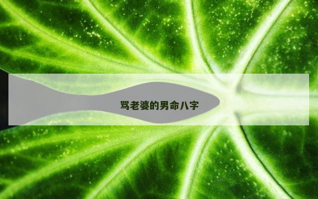 骂老婆的男命八字