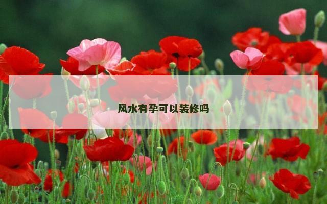 风水有孕可以装修吗