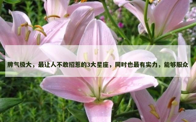 脾气极大，最让人不敢招惹的3大星座，同时也最有实力，能够服众