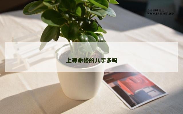 上等命格的八字多吗