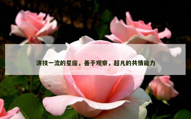 演技一流的星座，善于观察，超凡的共情能力
