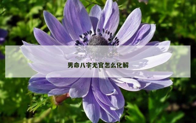 男命八字无官怎么化解