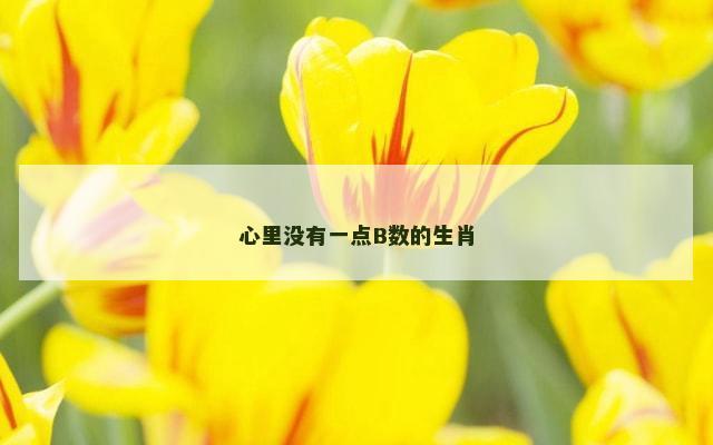 心里没有一点B数的生肖