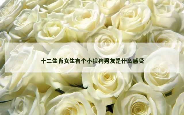 十二生肖女生有个小狼狗男友是什么感受