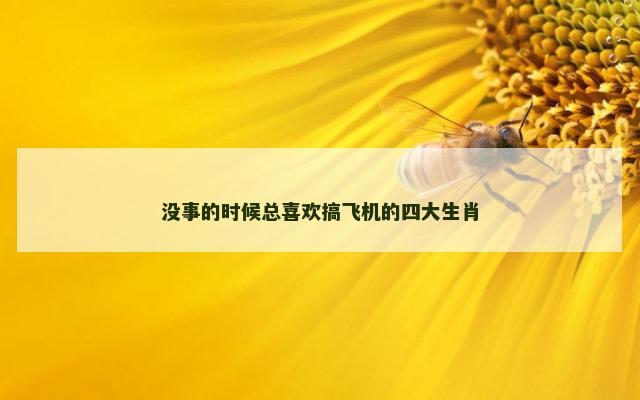 没事的时候总喜欢搞飞机的四大生肖