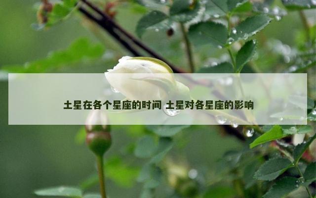 土星在各个星座的时间 土星对各星座的影响