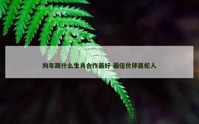 狗年跟什么生肖合作最好 最佳伙伴属蛇人