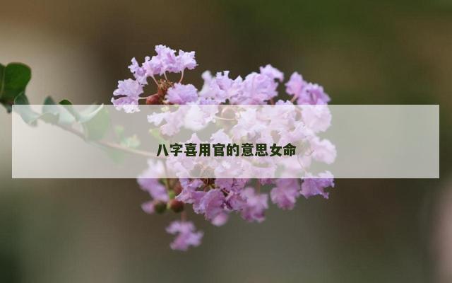 八字喜用官的意思女命