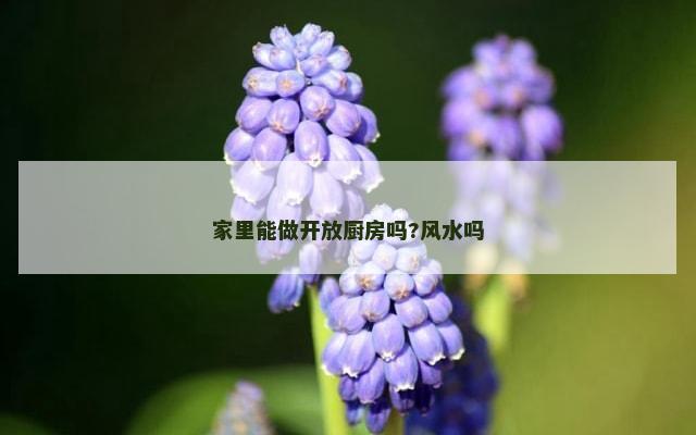 家里能做开放厨房吗?风水吗