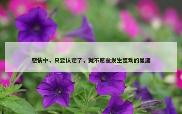感情中，只要认定了，就不愿意发生变动的星座
