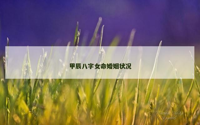 甲辰八字女命婚姻状况