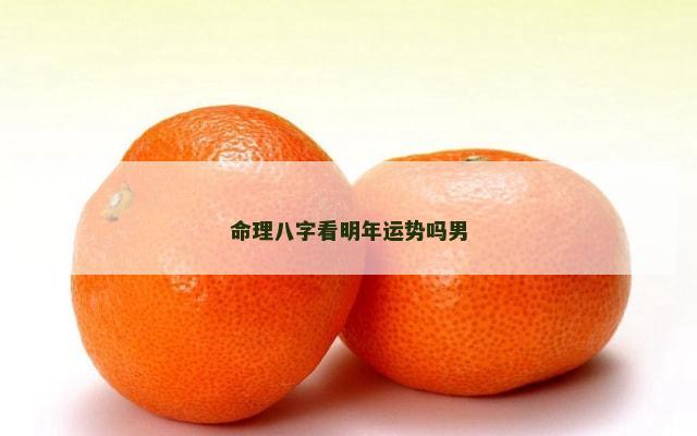 命理八字看明年运势吗男