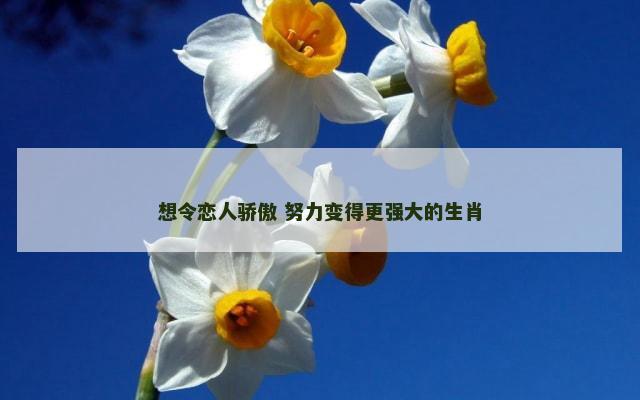 想令恋人骄傲 努力变得更强大的生肖