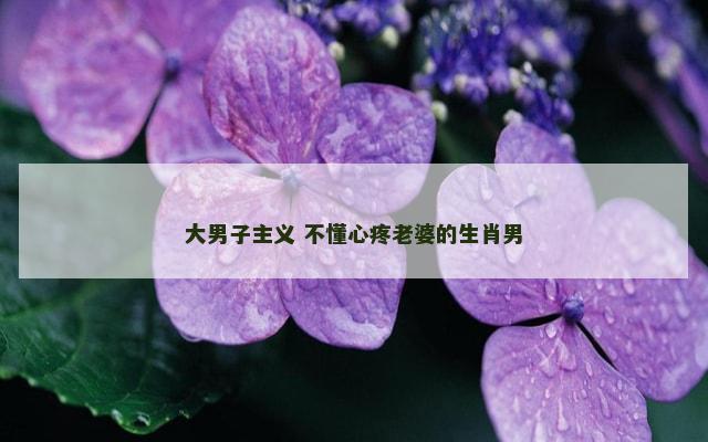 大男子主义 不懂心疼老婆的生肖男