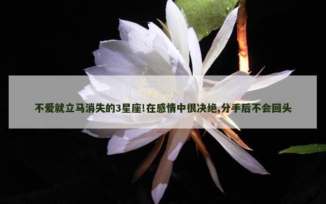 不爱就立马消失的3星座!在感情中很决绝,分手后不会回头