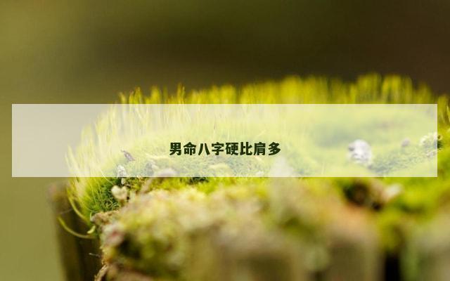 男命八字硬比肩多