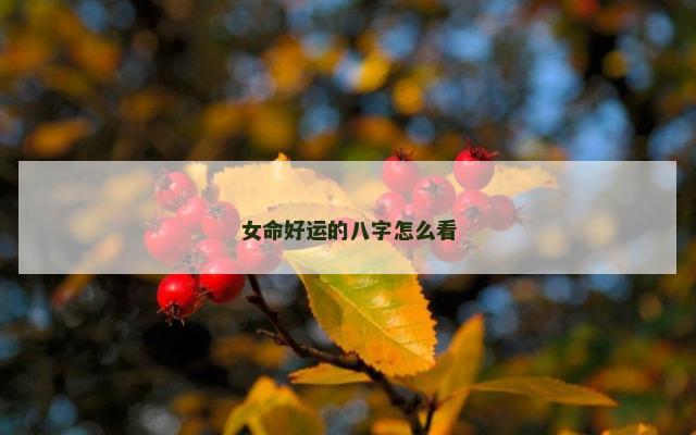 女命好运的八字怎么看