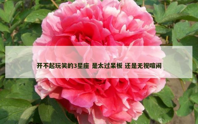 开不起玩笑的3星座 是太过呆板 还是无视喧闹