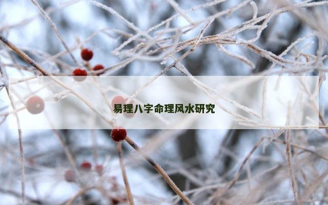 易理八字命理风水研究