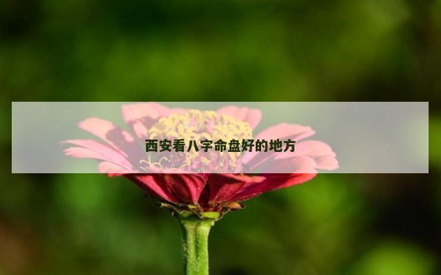 西安看八字命盘好的地方