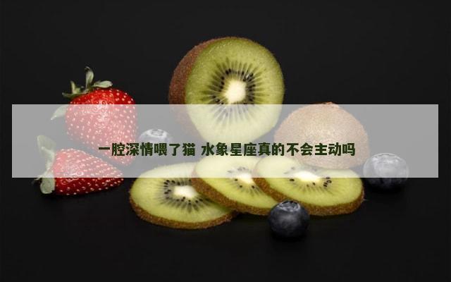 一腔深情喂了猫 水象星座真的不会主动吗