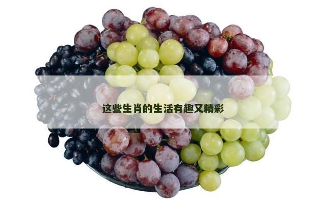 这些生肖的生活有趣又精彩