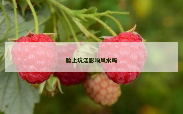 脸上坑洼影响风水吗
