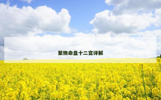 紫微命盘十二宫详解
