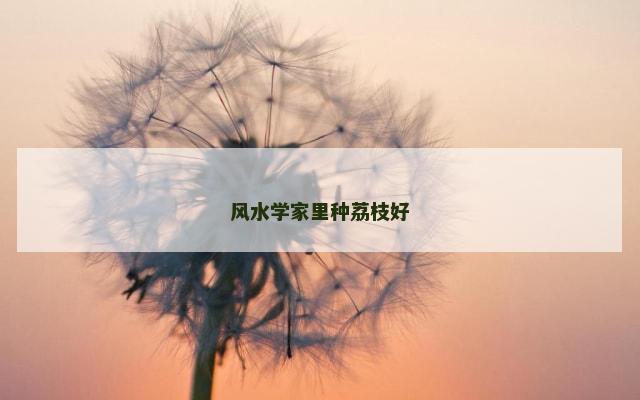 风水学家里种荔枝好