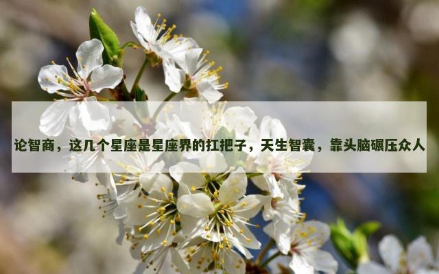 论智商，这几个星座是星座界的扛把子，天生智囊，靠头脑碾压众人