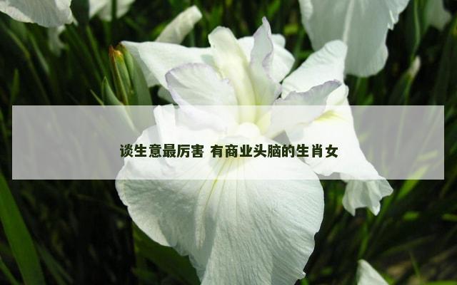 谈生意最厉害 有商业头脑的生肖女