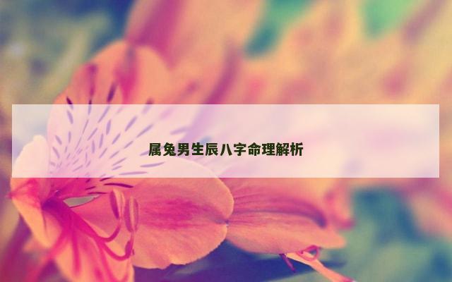 属兔男生辰八字命理解析