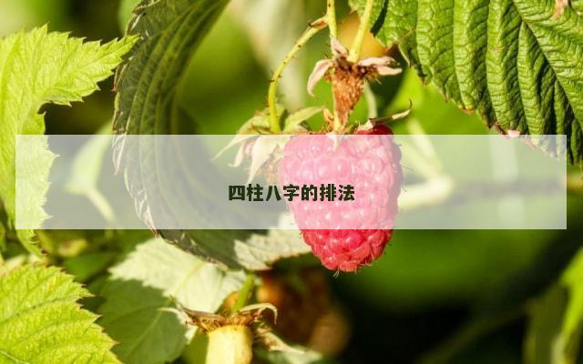 四柱八字的排法