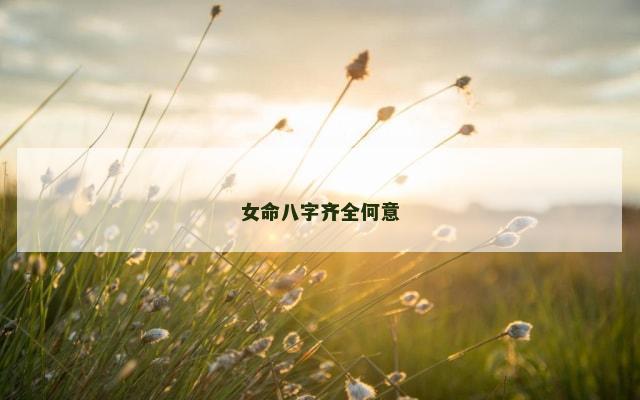 女命八字齐全何意