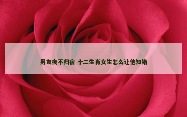男友夜不归宿 十二生肖女生怎么让他知错