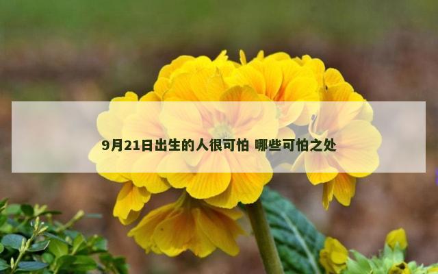 9月21日出生的人很可怕 哪些可怕之处