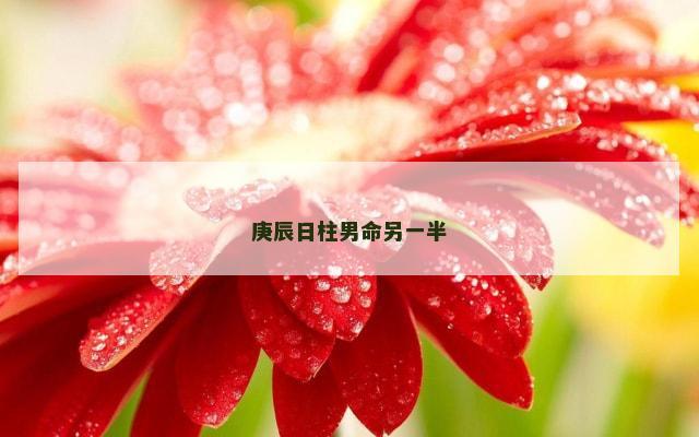 庚辰日柱男命另一半
