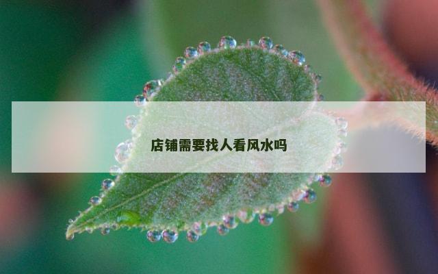 店铺需要找人看风水吗