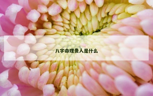 八字命理贵人是什么