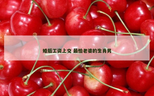 婚后工资上交 最怕老婆的生肖男