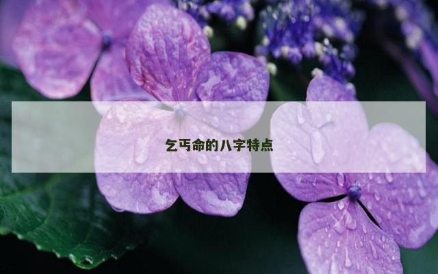 乞丐命的八字特点