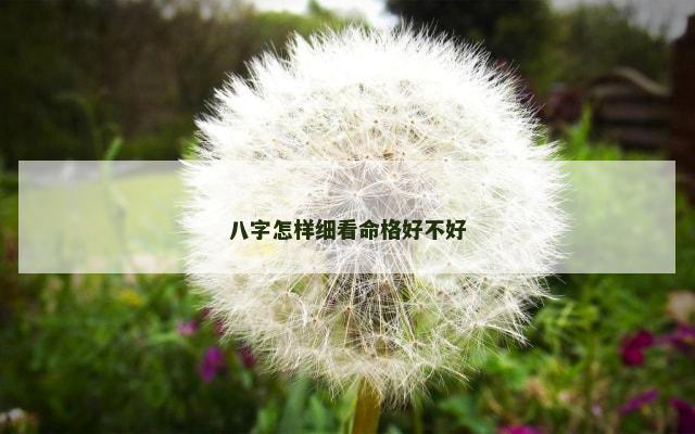 八字怎样细看命格好不好