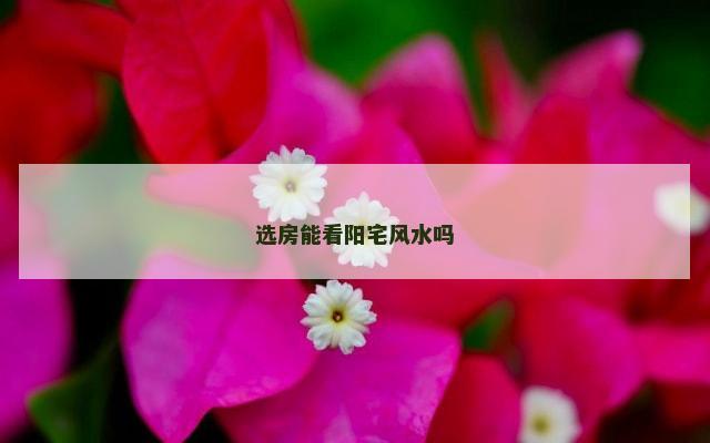选房能看阳宅风水吗
