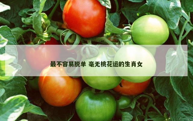 最不容易脱单 毫无桃花运的生肖女